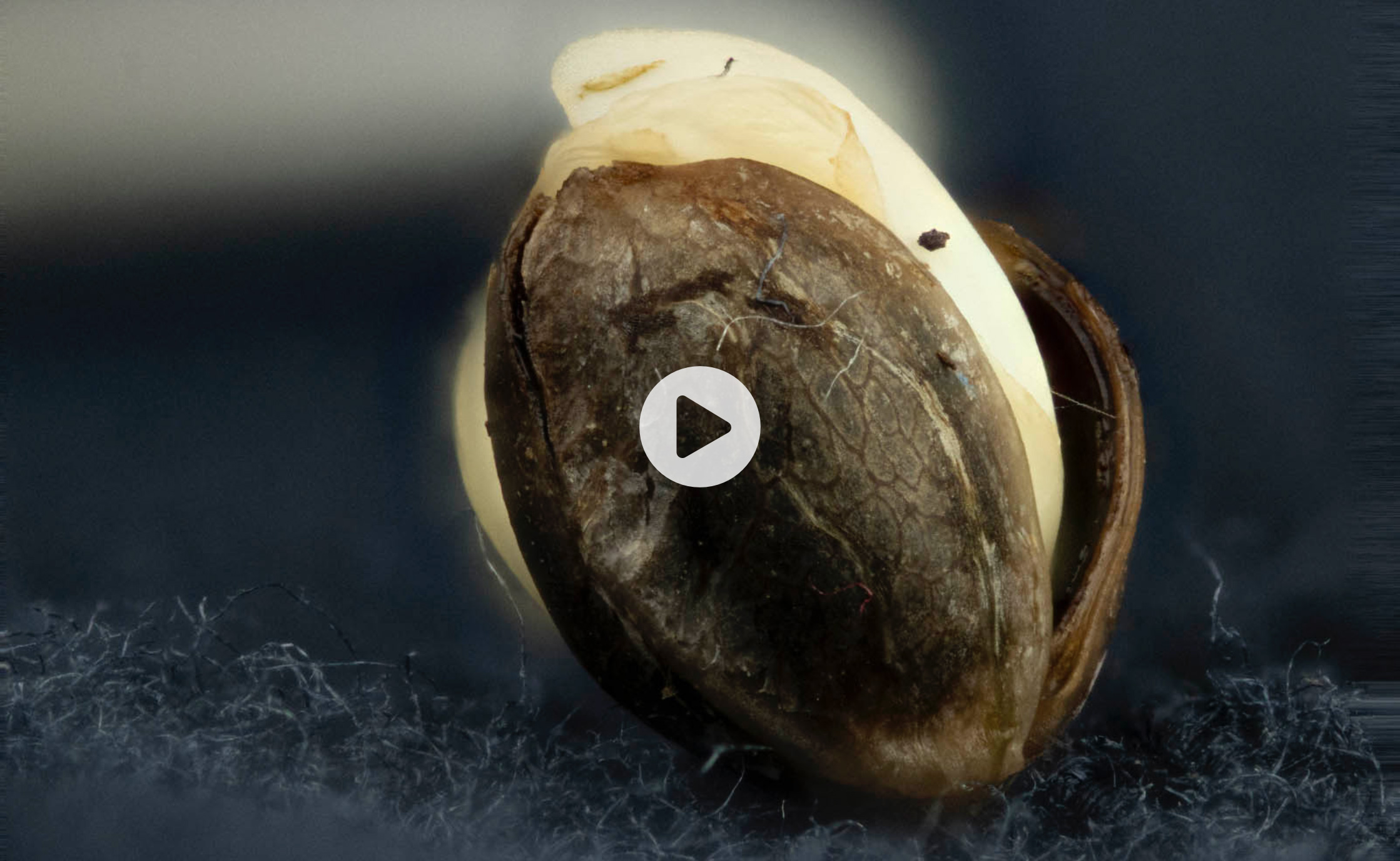 Watch our video on YouTube